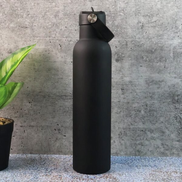 Stainless Steel Water Bottle with Carry Strap & Built-In Straw 1000ML Approx (1 Pc)